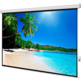 Projection Motorized Screen (Option: White)